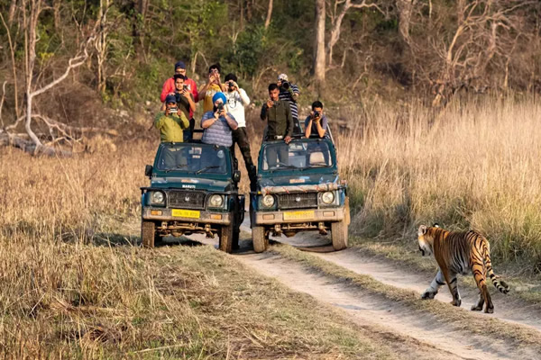 Jim Corbett Taxi Service